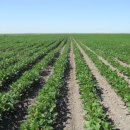 동남농장 이미지