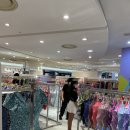 Romantic m 이미지