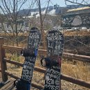 강원파크 | 강원 평창 휘닉스파크 보드 시간제 4시간권 후기