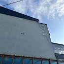 제주 법환동 펜션 “블란디야펜션” 제주 애견동반펜션, 제주 가성비 펜션으로 핵 추천후기