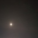 잇츠안경원 네이버블로그