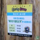서귀포 흑돼지 맛집 무조건 방문 해야하는 돈스타!