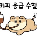 카페코빈즈