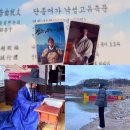 관음송 | 영월 청령포 배 줄 웨이팅 오픈런 후기 + 강원도 단종 유배지 관음송 소나무 왕방연 시조비 위치 왕과...