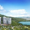 숲속의아침3 이미지