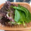 한우직판장 | 대구 동구 팔공산 소고기 맛집 새로 오픈한 가나 한우 직판장 1++ 한우 갈비살 후기