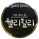 웰리 이미지