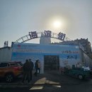 탕후루랩(TANGHURU LAB) | [연태 2박3일] 연태 자유여행 꿀팁 대방출