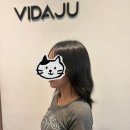 한내로72번길 | 청라미용실 비다주헤어 청라점 여자 단발 테슬컷 후기 feat 혜성디자이너님