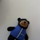 수연약국 | 올해 망했어도 내년이 있어서 다행이야