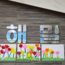 해밀시니어