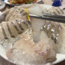 김가네김밥오치점 | 회는 물론 스끼까지 끝장나버리는 오치동 황금회포차