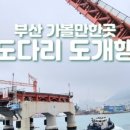 부산 현지인의 여행 계획 세우기 ② 영도/광안/오륙도공원