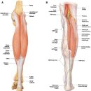 인하정형외과의원 이미지