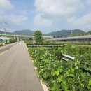 푸른환경주식회사 이미지