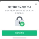 윤호농장 | 2025년 05월 (3) 한다면 하는 나란사람!