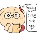 울산육회 이미지