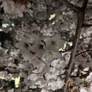 카이스트 후문 | [대전 어은동 맛집] 카이스트 근처 데이트 맛집 비스트로 퍼블릭