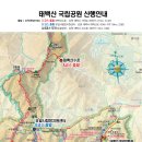 2025년 1월 태백산 국립공원 신년산행 이미지