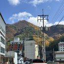 성원 | 정선아리랑시장 맛집, 내돈내산 성원식당 후기와 기념품 구입