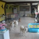 태우하우스 이미지