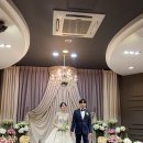 호리ON애드 | 본식스냅추천 안산 AW컨벤션 식후기 어두운홀 그라피모먼