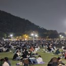 잔디광장 노컷뉴스