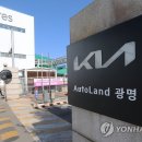 오토랜드 이미지