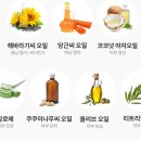 오스트레일리안 스토어