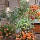 서초조은공인중개사사무소 이미지