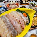 태백회수산 | 시원한 물회 한 그릇 태백회수산 태백 횟집에서 먹어본 후기
