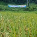 성재농원 이미지