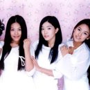 핑클 이미지