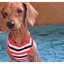 손의개농장 이미지