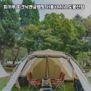 피카푸피크닉앤글램핑서울와이엠씨에이도 이미지
