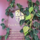 셀루오의원 이미지