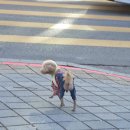 인천향교회관 이미지