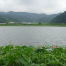 운대2리 이미지