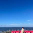 뽑아부러 이미지