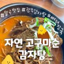 [자연 고구마순 감자탕] 광주 뼈해장국 원탑 등극! 고구마순 대박🍠