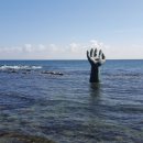 죽도회타운 이미지