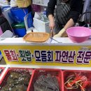 명희네만세회센타