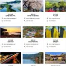 옥천초량순대