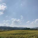 쌀밭나드리 네이버블로그