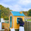 치즈바다 이미지