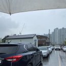 데이드림빌리버 이미지