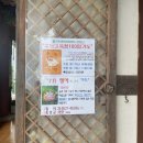 스테이광장상회 | 2박3일 여수 가볼만한 곳 총정리 - 여수여행 명소, 주차장 (향일암,하멜등대,오동도,딸기모찌)