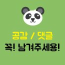 미솔분식