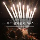 2019년 2월 축제. 행사 52 곳 이미지