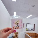 이쁘개 이미지